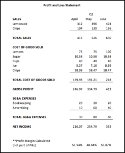 P And L Report Example